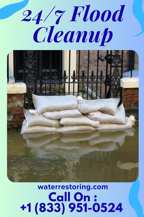 24/7 Flood Cleanup in Scotia, SC