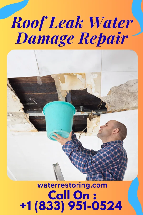 Roof Leak Water Damage Repair in Scotia, SC