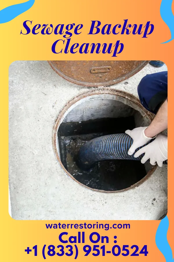 Sewage Backup Cleanup in Scotia, SC