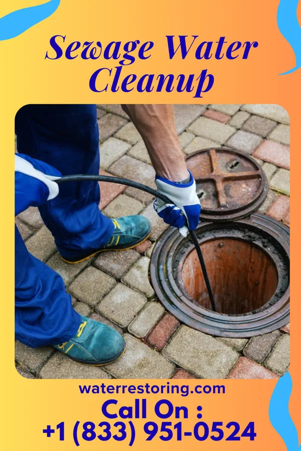 Sewage Water Cleanup in Scotia, SC
