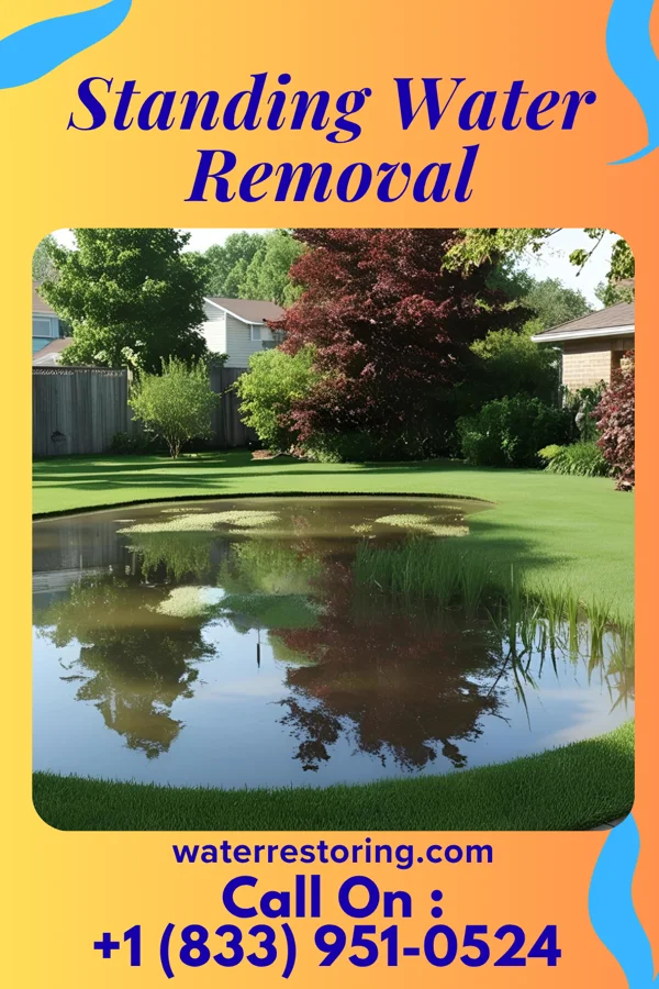Standing Water Removal in Scotia, SC